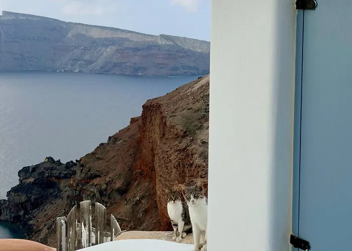 Willa Little Rock - *